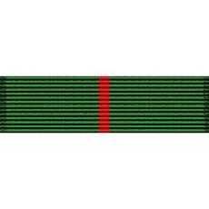Florida National Guard Retention Ribbon